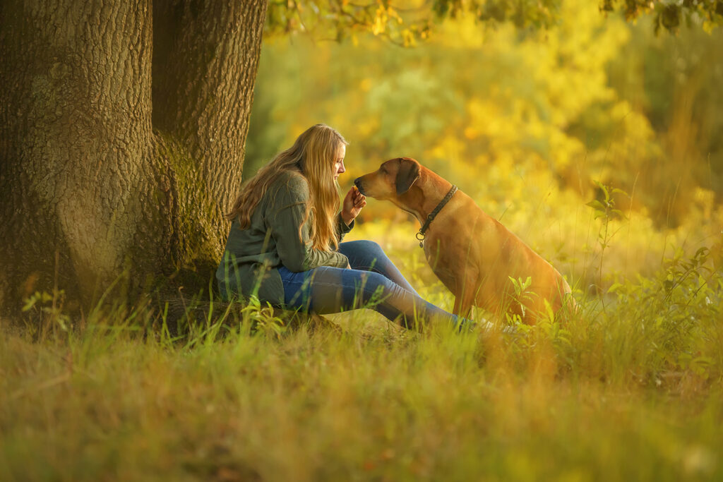 Hund-Mensch-Fotografie: Rhodesian Ridgeback bekommt von Frauchen ein Leckerlie während einer ruhigen Minute unterm Baum