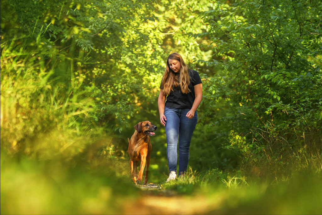 Hund-Mensch-Fotografie: Rhodesian Ridgeback und Frauchen gehen im Wald spazieren