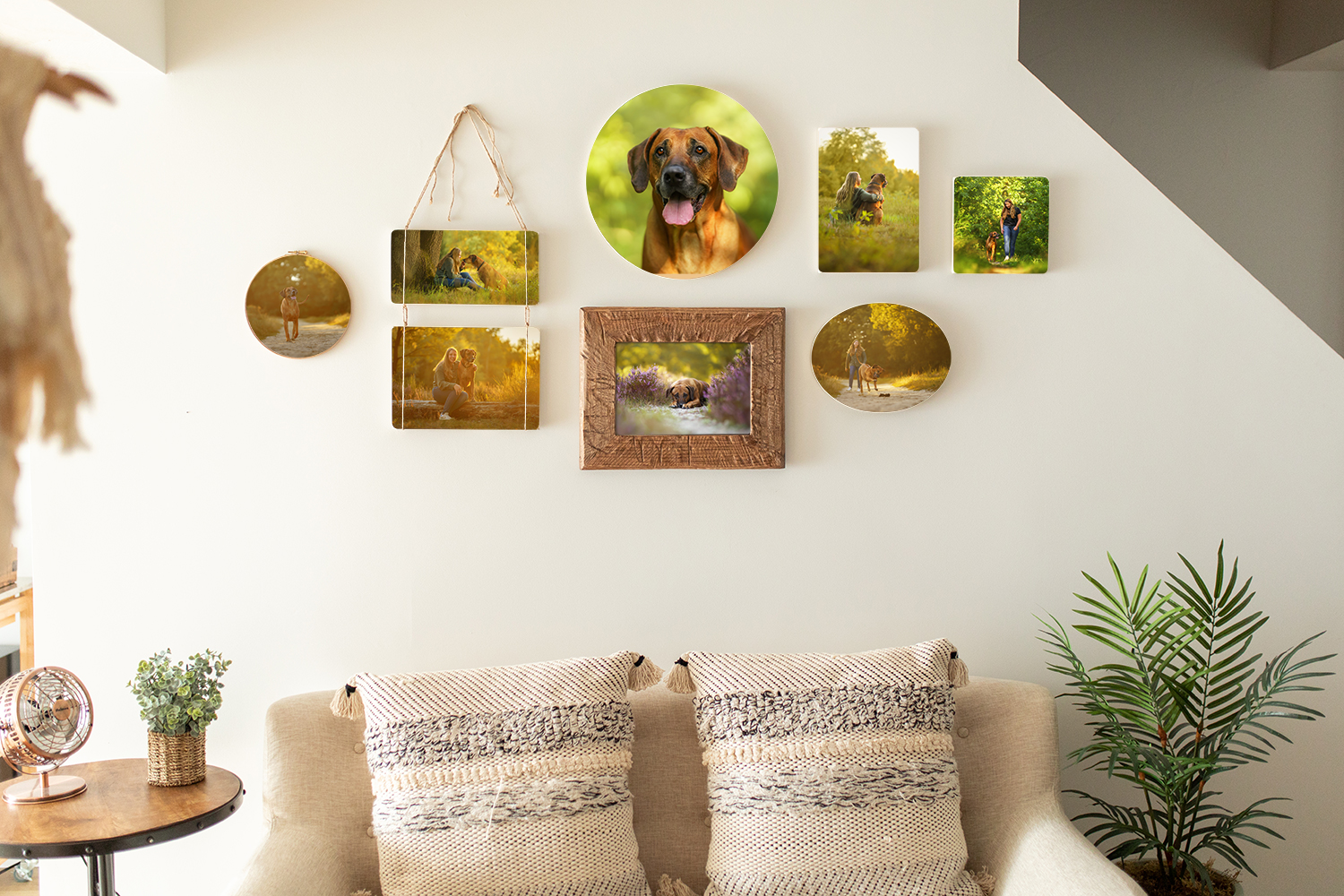Wandgalerie "Cloud 8" mit acht Fotos, Rhodesian Ridgeback und Frauchen