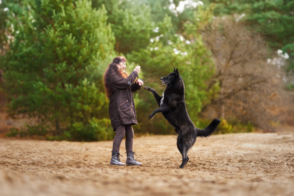 Hund-Mensch-Fotografie: Wolfshund mit Frauchen am spielen
