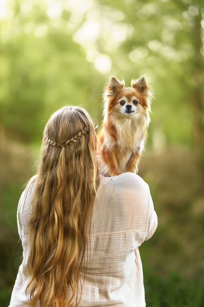 Hund-Mensch-Fotografie: Chihuahua auf Frauchens Schulter