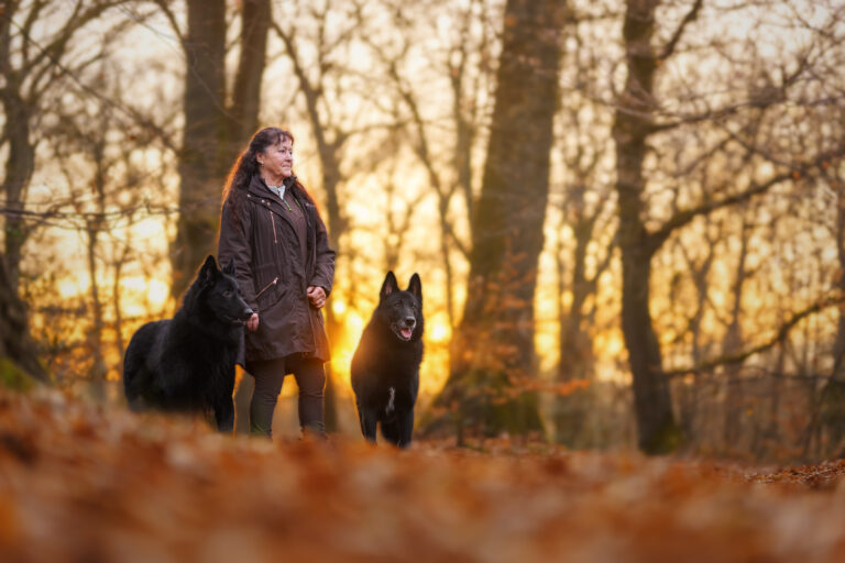 Tamaskan Kygo und Groenendael Lumix beim Wintershooting im Sand